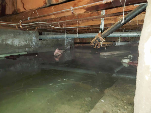 Best Flooded house restoration  in Hartford, SD