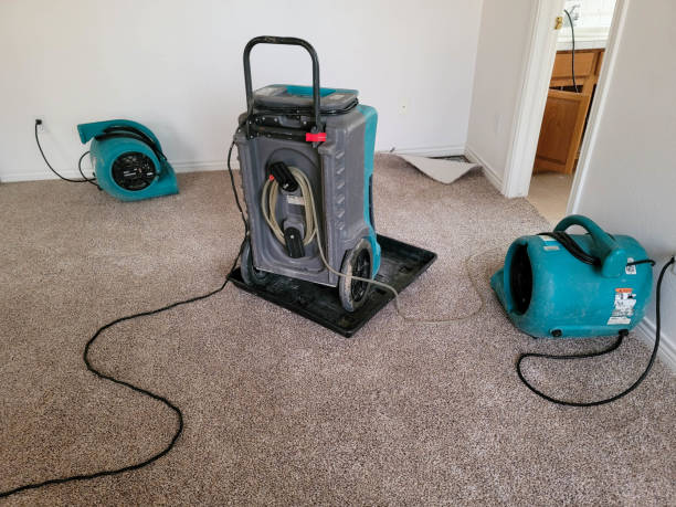 Best Mold removal after water damage  in Hartford, SD