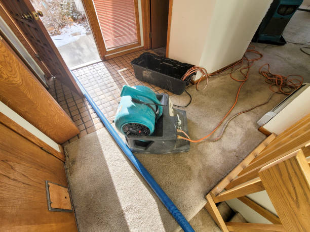Best Flooded house restoration  in Hartford, SD