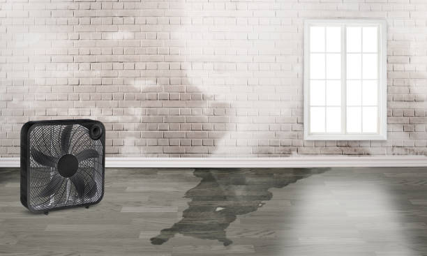 Best Flood restoration services  in Hartford, SD